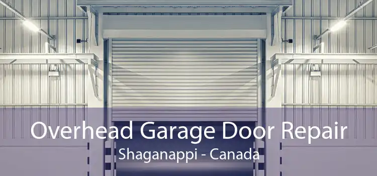 Overhead Garage Door Repair Shaganappi - Canada