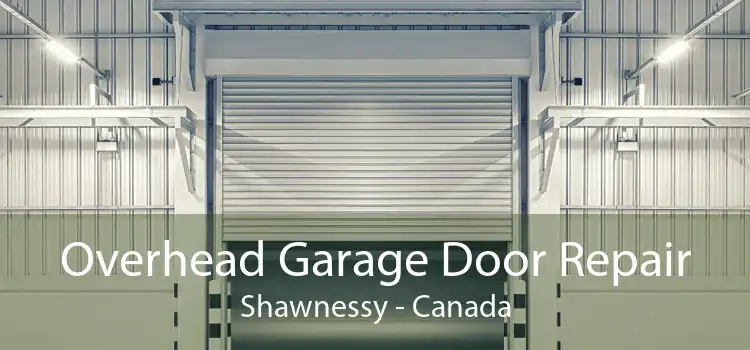 Overhead Garage Door Repair Shawnessy - Canada
