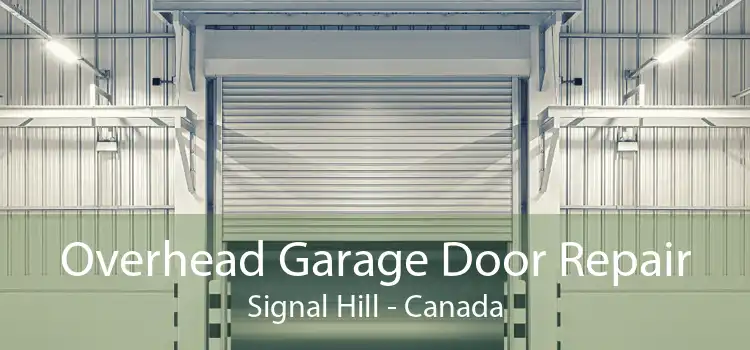 Overhead Garage Door Repair Signal Hill - Canada