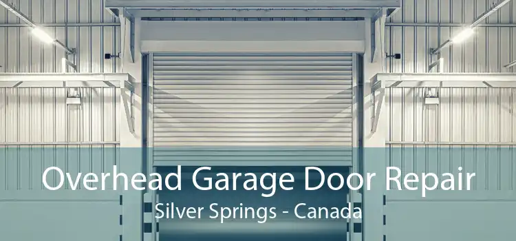 Overhead Garage Door Repair Silver Springs - Canada