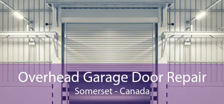 Overhead Garage Door Repair Somerset - Canada