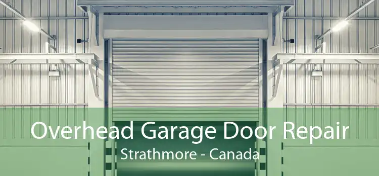 Overhead Garage Door Repair Strathmore - Canada