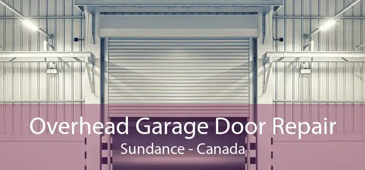 Overhead Garage Door Repair Sundance - Canada