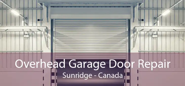 Overhead Garage Door Repair Sunridge - Canada