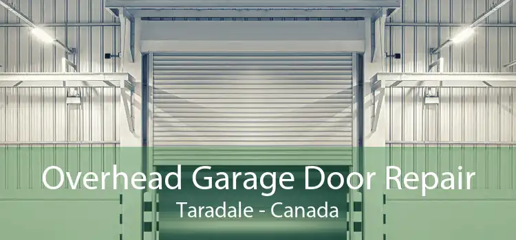 Overhead Garage Door Repair Taradale - Canada