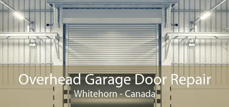 Overhead Garage Door Repair Whitehorn - Canada