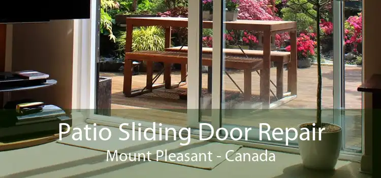 Patio Sliding Door Repair Mount Pleasant - Canada