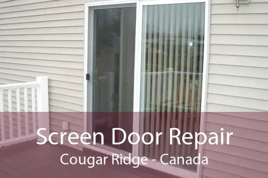 Screen Door Repair Cougar Ridge - Canada