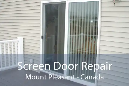 Screen Door Repair Mount Pleasant - Canada