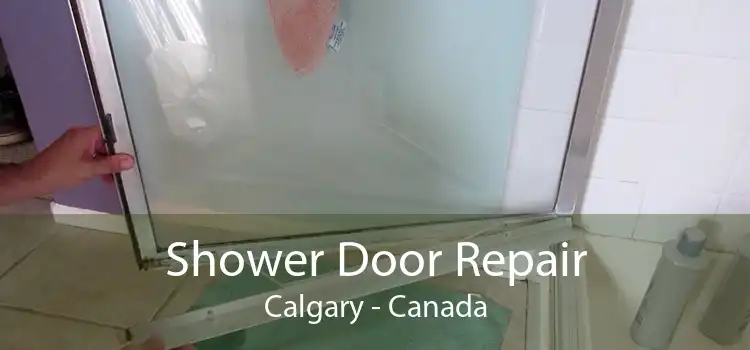 Shower Door Repair Calgary - Canada