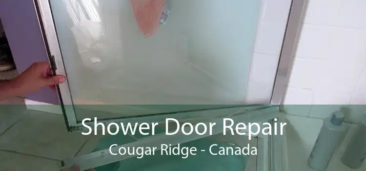 Shower Door Repair Cougar Ridge - Canada