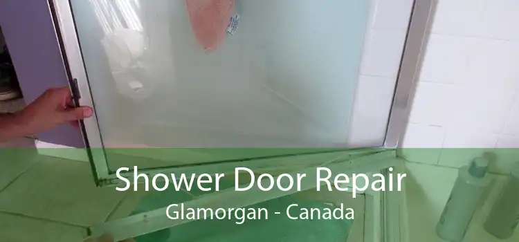 Shower Door Repair Glamorgan - Canada
