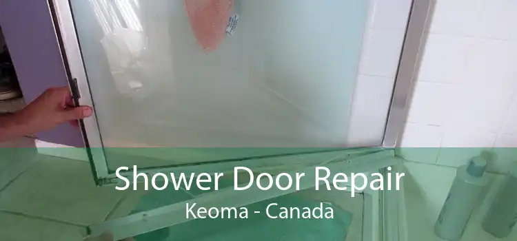 Shower Door Repair Keoma - Canada