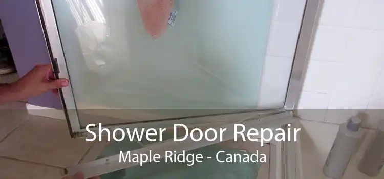 Shower Door Repair Maple Ridge - Canada