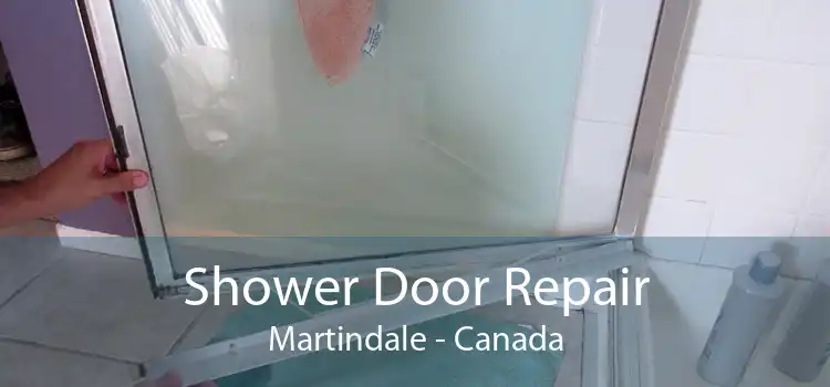 Shower Door Repair Martindale - Canada