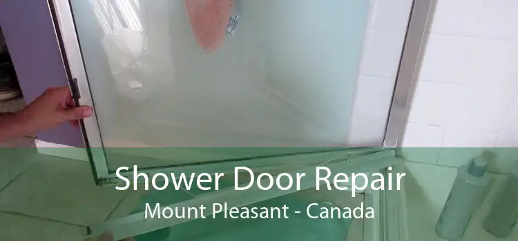 Shower Door Repair Mount Pleasant - Canada