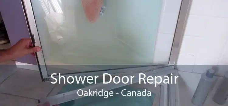 Shower Door Repair Oakridge - Canada