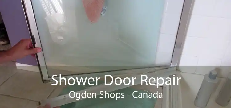 Shower Door Repair Ogden Shops - Canada