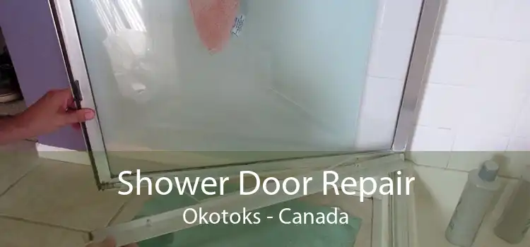 Shower Door Repair Okotoks - Canada