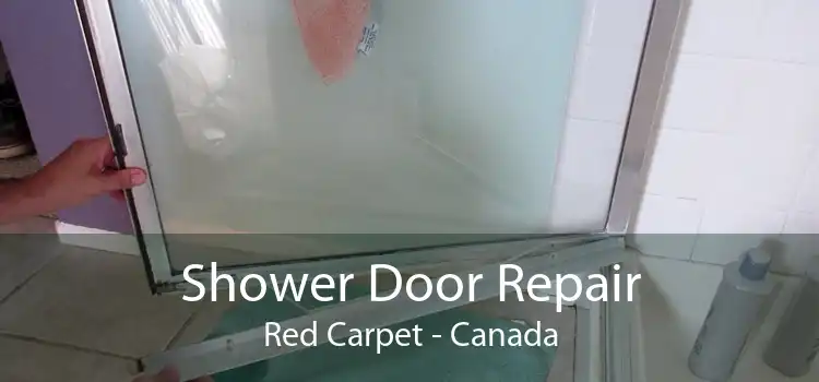 Shower Door Repair Red Carpet - Canada
