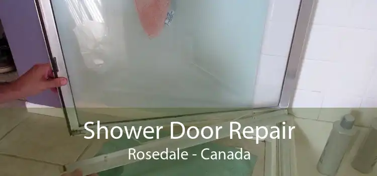 Shower Door Repair Rosedale - Canada