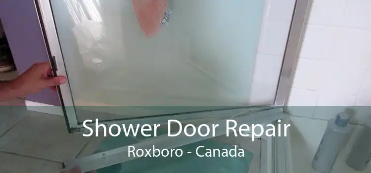 Shower Door Repair Roxboro - Canada