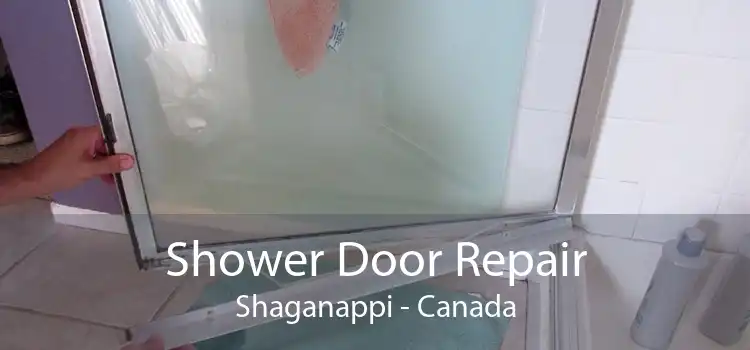 Shower Door Repair Shaganappi - Canada