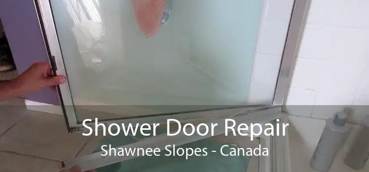Shower Door Repair Shawnee Slopes - Canada