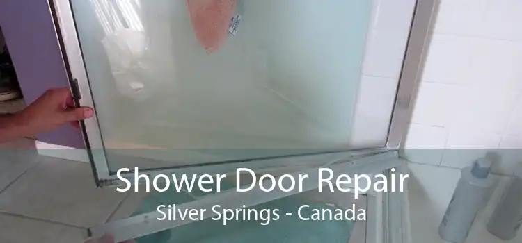 Shower Door Repair Silver Springs - Canada