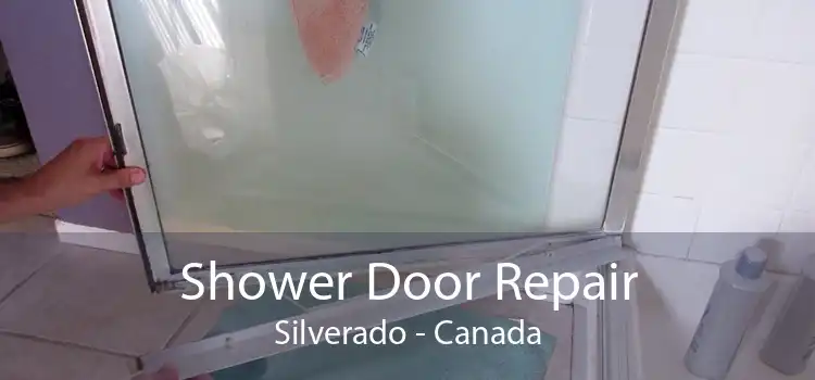 Shower Door Repair Silverado - Canada