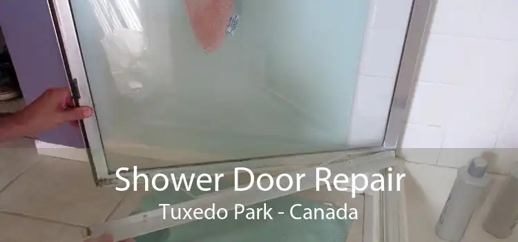 Shower Door Repair Tuxedo Park - Canada