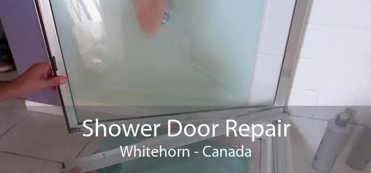 Shower Door Repair Whitehorn - Canada