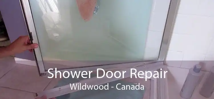 Shower Door Repair Wildwood - Canada