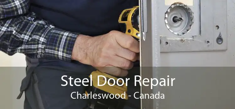 Steel Door Repair Charleswood - Canada