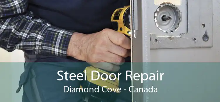 Steel Door Repair Diamond Cove - Canada