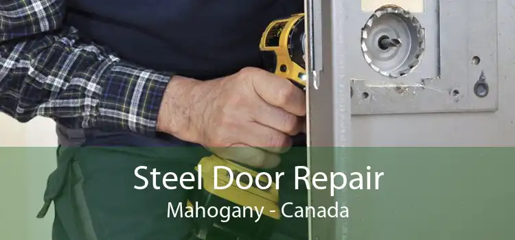 Steel Door Repair Mahogany - Canada