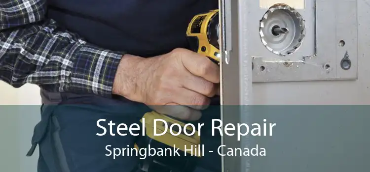 Steel Door Repair Springbank Hill - Canada