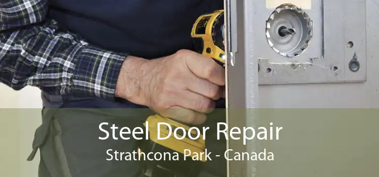 Steel Door Repair Strathcona Park - Canada