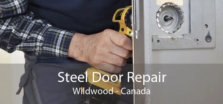 Steel Door Repair Wildwood - Canada