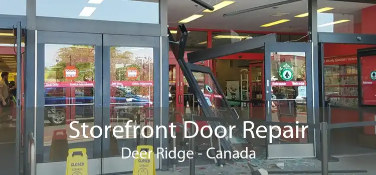 Storefront Door Repair Deer Ridge - Canada