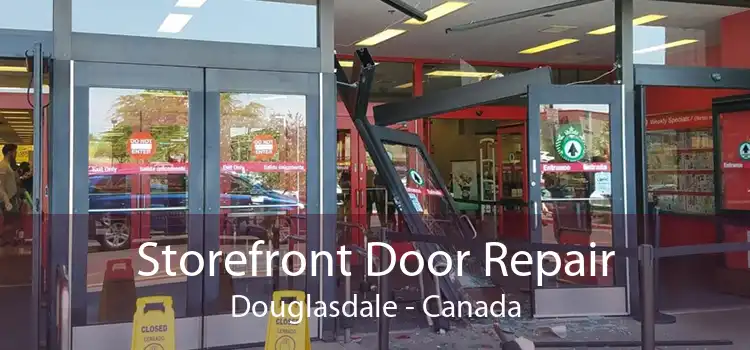 Storefront Door Repair Douglasdale - Canada