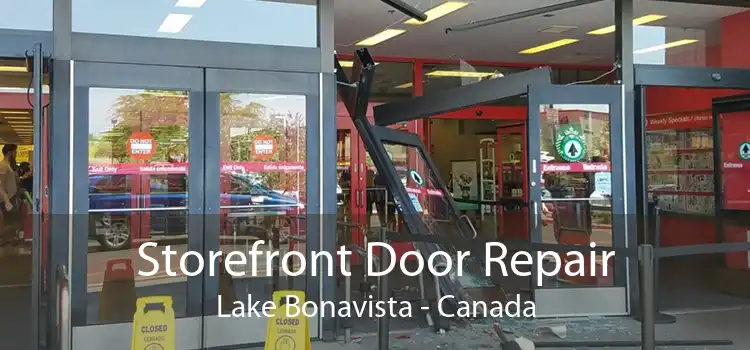 Storefront Door Repair Lake Bonavista - Canada