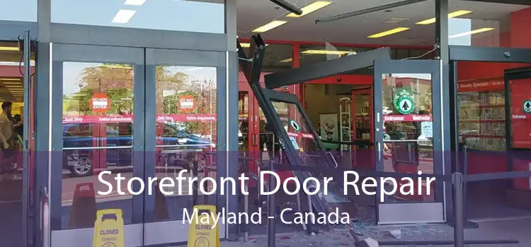 Storefront Door Repair Mayland - Canada