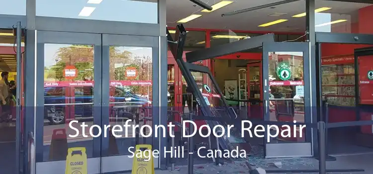 Storefront Door Repair Sage Hill - Canada