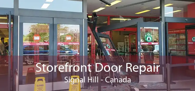 Storefront Door Repair Signal Hill - Canada