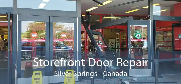 Storefront Door Repair Silver Springs - Canada