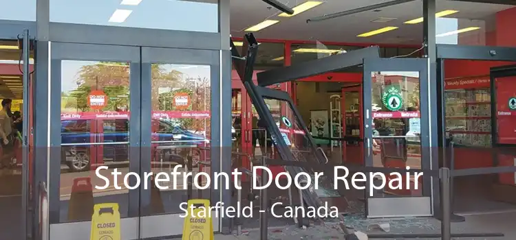 Storefront Door Repair Starfield - Canada