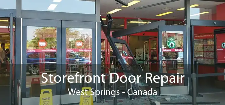 Storefront Door Repair West Springs - Canada
