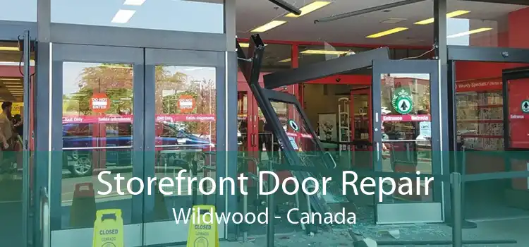 Storefront Door Repair Wildwood - Canada