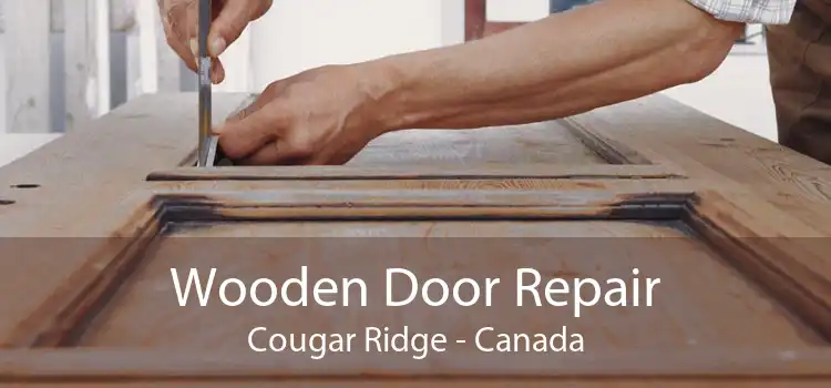 Wooden Door Repair Cougar Ridge - Canada